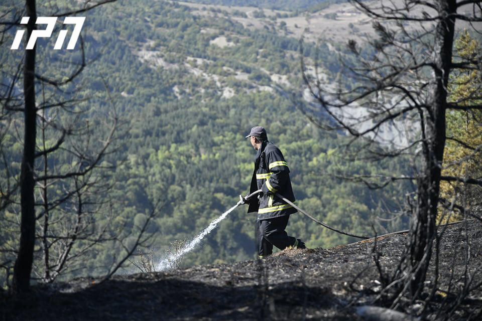 ბორჯომის ხეობაში, ტყეში გაჩენილი ხანძარი ლიკვიდირებულია